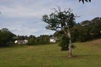Guernsey15 &ndash; &copy; Gina Egenolf (Eberhardt TRAVEL)