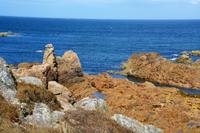 Guernsey26 &ndash; &copy; Gina Egenolf (Eberhardt TRAVEL)
