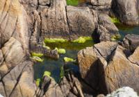 Guernsey27 &ndash; &copy; Gina Egenolf (Eberhardt TRAVEL)