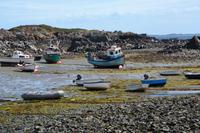 Guernsey29 &ndash; &copy; Gina Egenolf (Eberhardt TRAVEL)