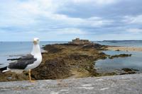 StMalo5 &ndash; &copy; Gina Egenolf (Eberhardt TRAVEL)