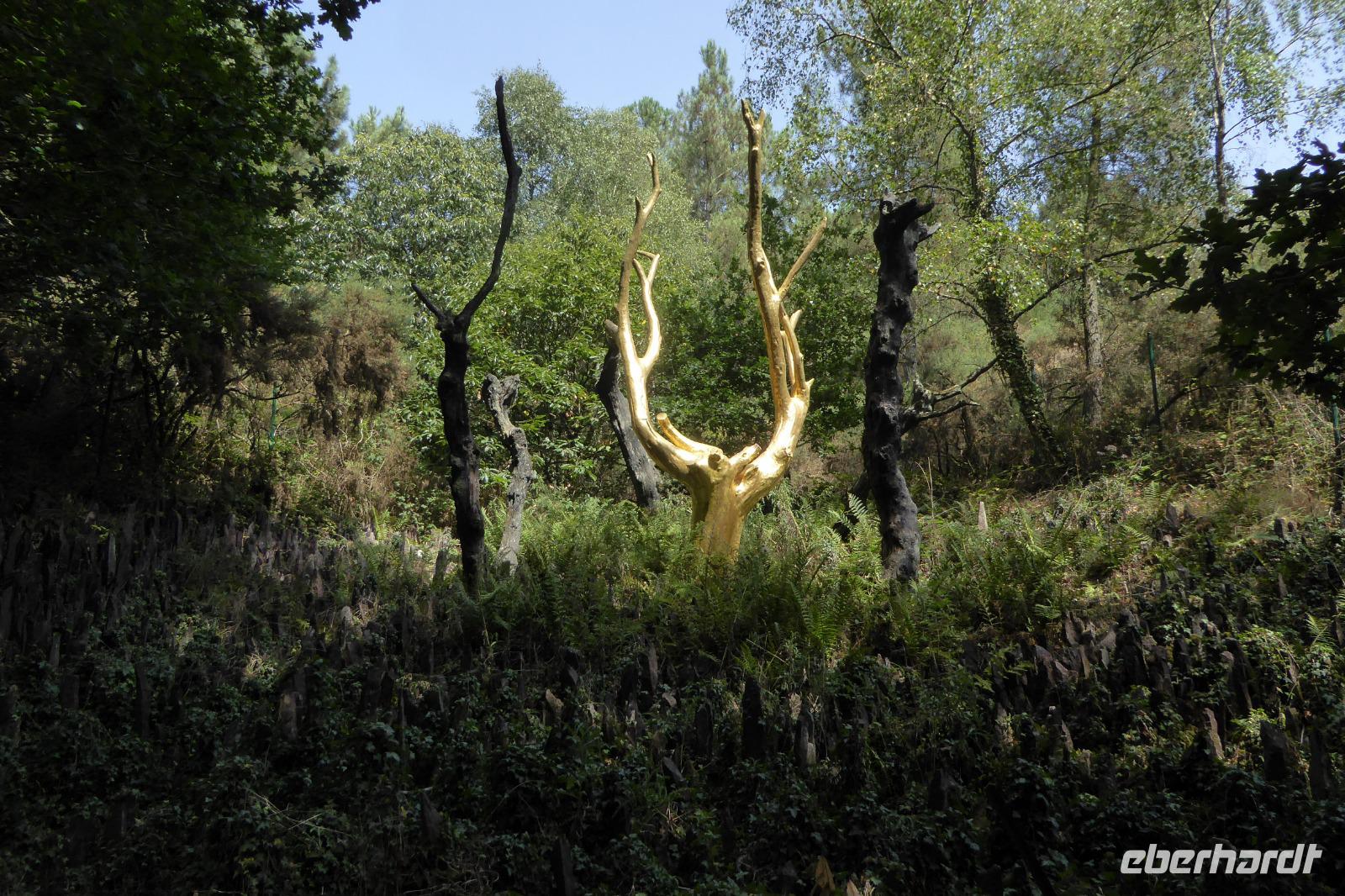 04 Im Wald von Brocéliande  &ndash; &copy; Gabriele Sauer (Eberhardt TRAVEL)