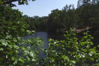 04 Im Wald von Brocéliande  &ndash; &copy; Gabriele Sauer (Eberhardt TRAVEL)