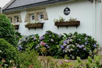 05 Wanderung in Carnac &ndash; &copy; Gabriele Sauer (Eberhardt TRAVEL)