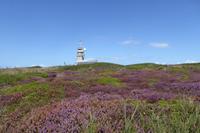 11 Wanderung entlang GR 34 zur Pointe du Raz  &ndash; &copy; Gabriele Sauer (Eberhardt TRAVEL)