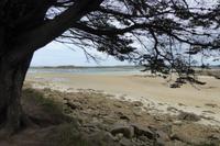 13 Ile Grande  &ndash; &copy; Gabriele Sauer (Eberhardt TRAVEL)
