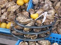 Cancale - Austern &ndash; &copy; Claudia Bernhardt (Eberhardt TRAVEL)