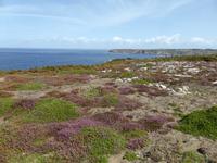 Pointe du Raz  &ndash; &copy; Claudia Bernhardt (Eberhardt TRAVEL)