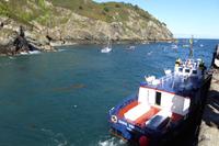 Insel Sark  &ndash; &copy; Gabriele Sauer (Eberhardt TRAVEL)