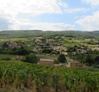 Beaujolais Weindorf