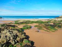 Jersey &ndash; &copy; Maite Floris-Moser (Eberhardt TRAVEL)