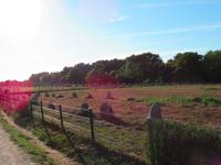 Carnac &ndash; &copy; Maite Floris-Moser (Eberhardt TRAVEL)