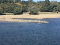 die Loire ein Vogelparadies &ndash; &copy; Roswitha Zytowski (Eberhardt TRAVEL)