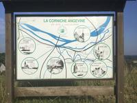Ausflug zur Corniche Angevine &ndash; &copy; Roswitha Zytowski (Eberhardt TRAVEL)