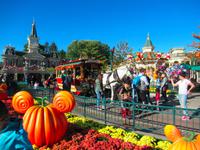 Disney Land &ndash; &copy; Maite Floris-Moser (Eberhardt TRAVEL)