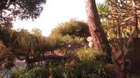 Garten von Monaco