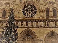 Stimmungsvolles Detail &ndash; &copy; Gina Egenolf (Eberhardt TRAVEL)