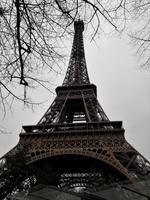 Blick nach oben &ndash; &copy; Gina Egenolf (Eberhardt TRAVEL)