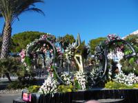 Blumen über Blumen &ndash; &copy; Sandra Richter (Eberhardt TRAVEL)