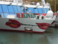 A-Rosa im Doppelpack &ndash; &copy; Barbara Mihut (Eberhardt TRAVEL)