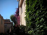 Cannes &ndash; &copy; Barbara Pflicke (Eberhardt TRAVEL)
