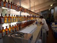 Labor &ndash; &copy; Barbara Pflicke (Eberhardt TRAVEL)