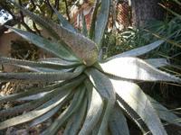 im Botan. Garten &ndash; &copy; Barbara Pflicke (Eberhardt TRAVEL)