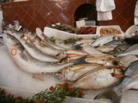 Fischmarkt &ndash; &copy; Barbara Pflicke (Eberhardt TRAVEL)