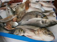 Fischmarkt &ndash; &copy; Barbara Pflicke (Eberhardt TRAVEL)