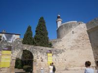 Aigues-Mores &ndash; &copy; Barbara Pflicke (Eberhardt TRAVEL)