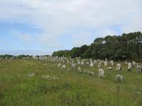 Carnac &ndash; &copy; Ralf Kuchenbecker (Eberhardt TRAVEL)