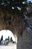 Cimiez, Nizza &ndash; &copy; Helene Johannsen (Eberhardt TRAVEL)