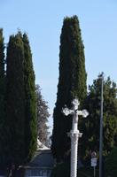 Klosteranlage Cimiez, Nizza &ndash; &copy; Helene Johannsen (Eberhardt TRAVEL)