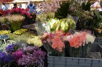 Marché aux fleurs, Nizza &ndash; &copy; Helene Johannsen (Eberhardt TRAVEL)