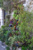 Blütenpracht in Saint-Paul-de-Vence &ndash; &copy; Helene Johannsen (Eberhardt TRAVEL)