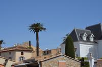 St-Tropez &ndash; &copy; Helene Johannsen (Eberhardt TRAVEL)