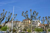Cannes &ndash; &copy; Helene Johannsen (Eberhardt TRAVEL)