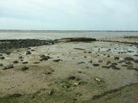 Ebbe an der 