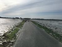 Ebbe an der 