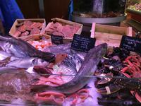 Markthalle La Rochelle &ndash; &copy; Dr. Michael Krause (Eberhardt TRAVEL)