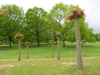 deutscher Soldatenfriedhof &ndash; &copy; Jürgen Schmeißer (Eberhardt TRAVEL)
