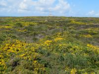 Point du Raz &ndash; &copy; Jürgen Schmeißer (Eberhardt TRAVEL)