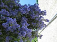 Giverny &ndash; &copy; Maite Floris-Moser (Eberhardt TRAVEL)