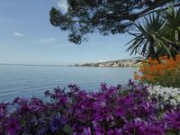 Montreux - Blumenpracht an der Promenade &ndash; &copy; Claudia Bernhardt (Eberhardt TRAVEL)