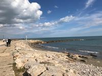 In der Camargue