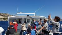 Korsika, Bootsfahrt bei Bonifacio &ndash; &copy; Ria Heilmann (Eberhardt TRAVEL)