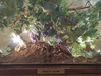008. Champagnerkeller Mumm &ndash; &copy; Sophie Hof (Eberhardt TRAVEL)