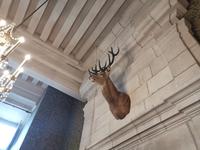 018. Schloss Chambord &ndash; &copy; Sophie Hof (Eberhardt TRAVEL)