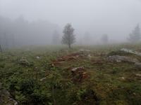 092. La Rhune &ndash; &copy; Sophie Hof (Eberhardt TRAVEL)