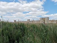 123. Aigues-Mortes &ndash; &copy; Sophie Hof (Eberhardt TRAVEL)